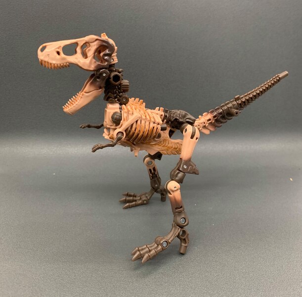 transformers fossilizer paleotrex